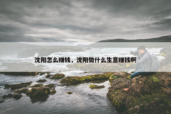 沈阳怎么赚钱，沈阳做什么生意赚钱啊