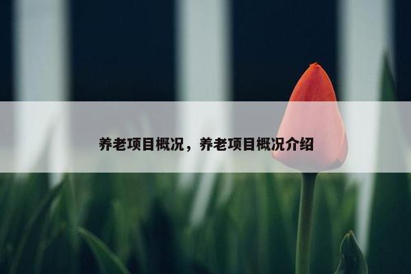 养老项目概况，养老项目概况介绍