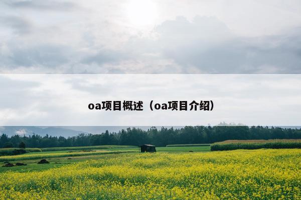 oa项目概述（oa项目介绍）