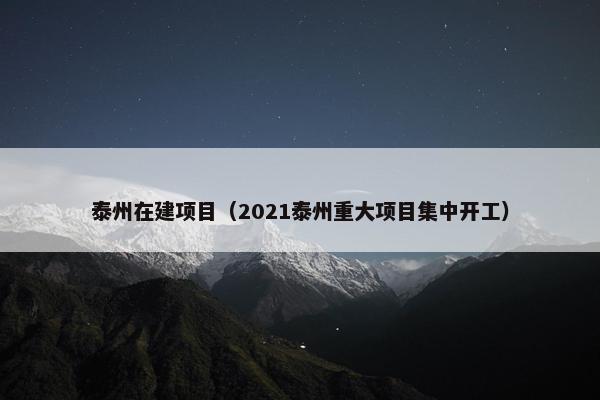 泰州在建项目（2021泰州重大项目集中开工）