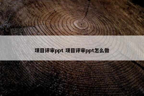 项目评审ppt 项目评审ppt怎么做