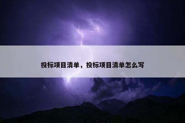 投标项目清单，投标项目清单怎么写