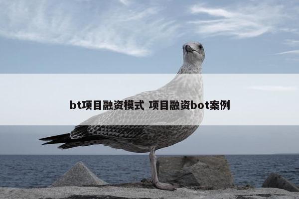 bt项目融资模式 项目融资bot案例