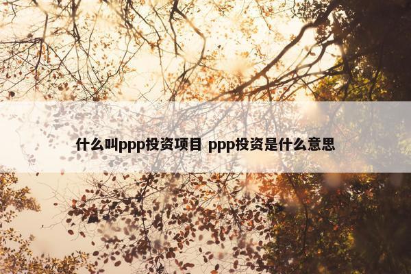 什么叫ppp投资项目 ppp投资是什么意思