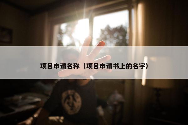 项目申请名称（项目申请书上的名字）