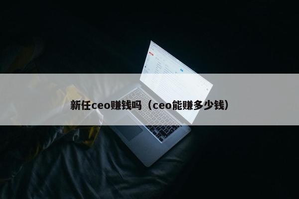 新任ceo赚钱吗（ceo能赚多少钱）