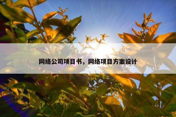 网络公司项目书，网络项目方案设计