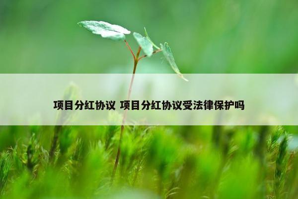 项目分红协议 项目分红协议受法律保护吗