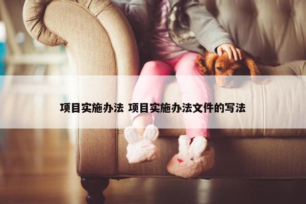 项目实施办法 项目实施办法文件的写法