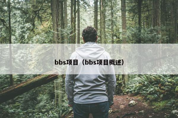 bbs项目（bbs项目概述）