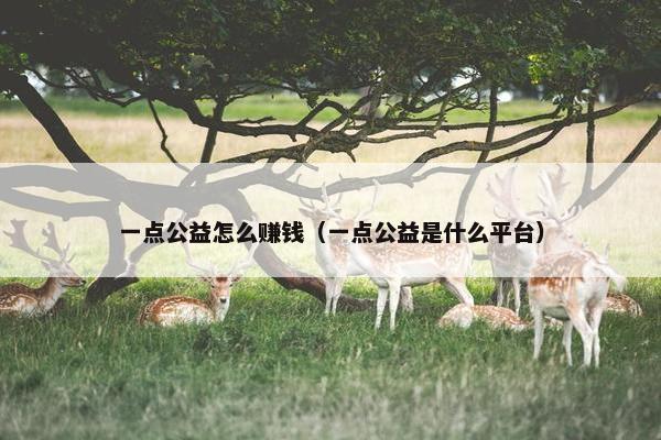 一点公益怎么赚钱（一点公益是什么平台）