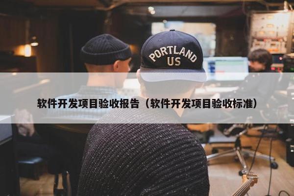 软件开发项目验收报告（软件开发项目验收标准）