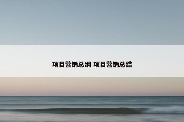 项目营销总纲 项目营销总结