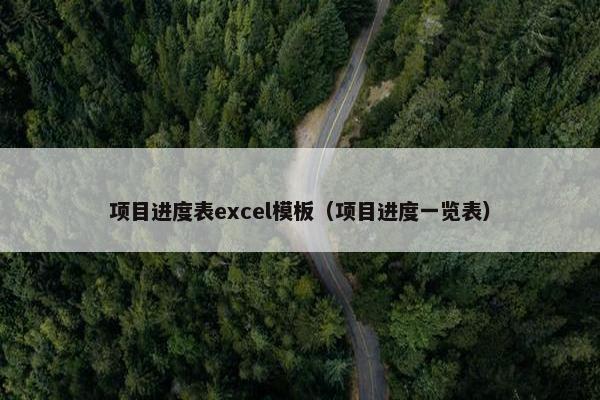 项目进度表excel模板（项目进度一览表）