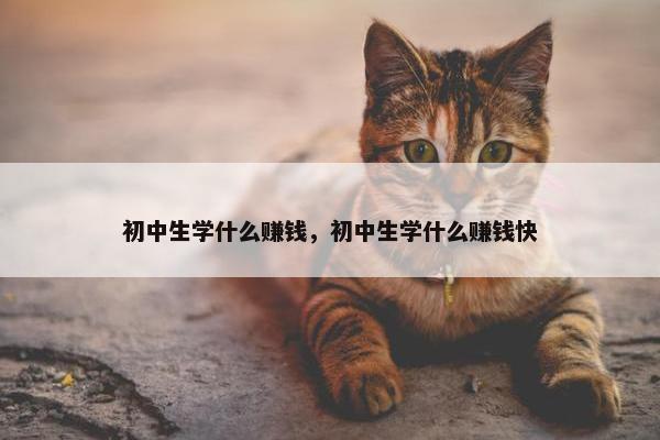 初中生学什么赚钱，初中生学什么赚钱快