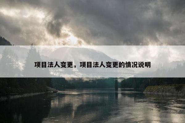 项目法人变更，项目法人变更的情况说明