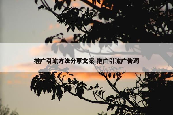 推广引流方法分享文案 推广引流广告词