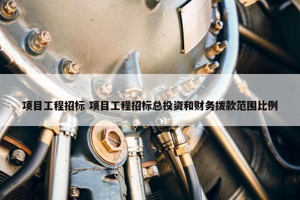 项目工程招标 项目工程招标总投资和财务拨款范围比例