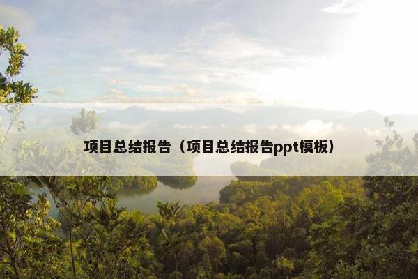 项目总结报告（项目总结报告ppt模板）