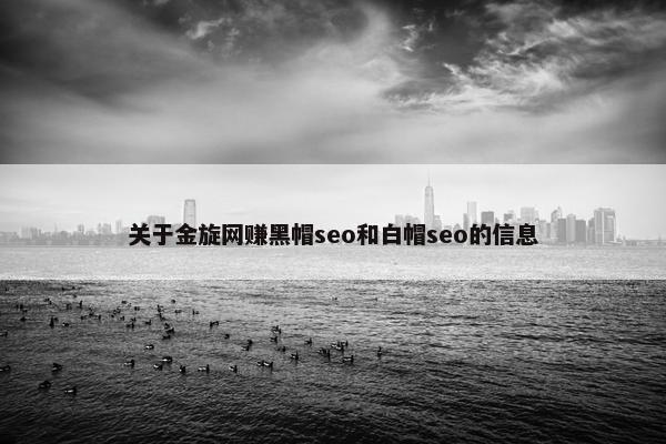 关于金旋网赚黑帽seo和白帽seo的信息