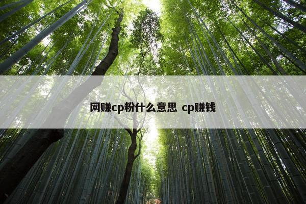 网赚cp粉什么意思 cp赚钱