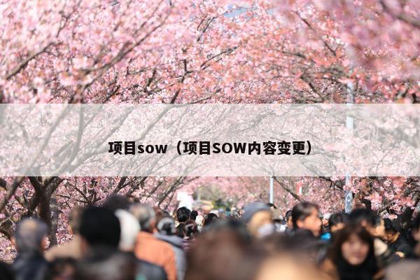 项目sow（项目SOW内容变更）