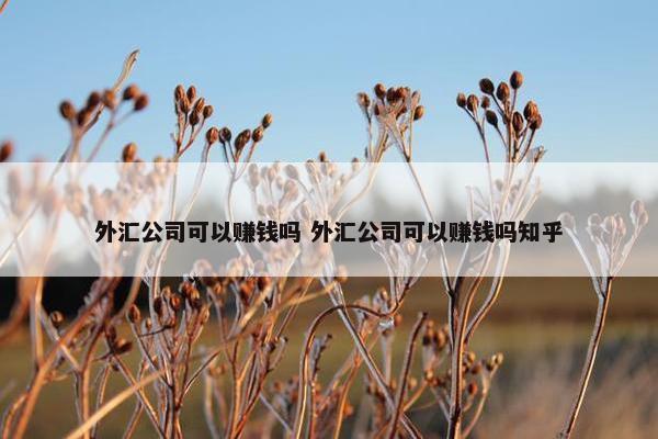 外汇公司可以赚钱吗 外汇公司可以赚钱吗知乎