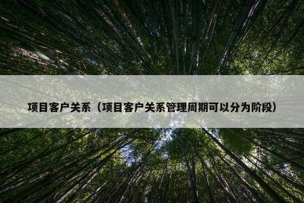 项目客户关系（项目客户关系管理周期可以分为阶段）