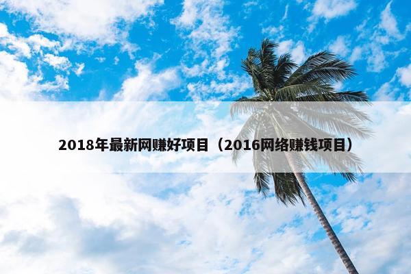 2018年最新网赚好项目（2016网络赚钱项目）