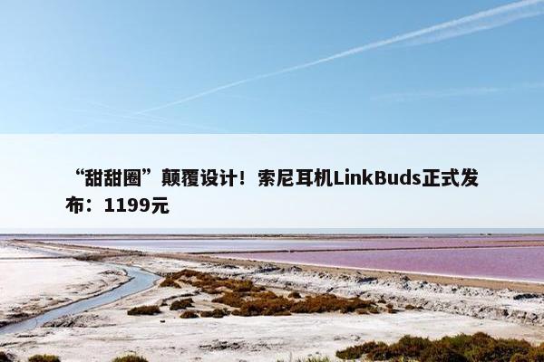 “甜甜圈”颠覆设计！索尼耳机LinkBuds正式发布：1199元