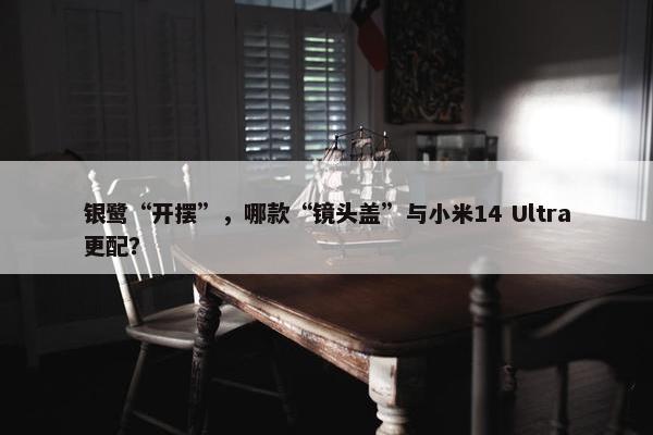 银鹭“开摆”，哪款“镜头盖”与小米14 Ultra更配？