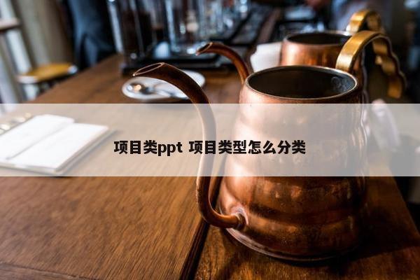 项目类ppt 项目类型怎么分类