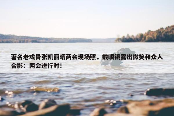 著名老戏骨张凯丽晒两会现场照，戴眼镜露出微笑和众人合影：两会进行时！