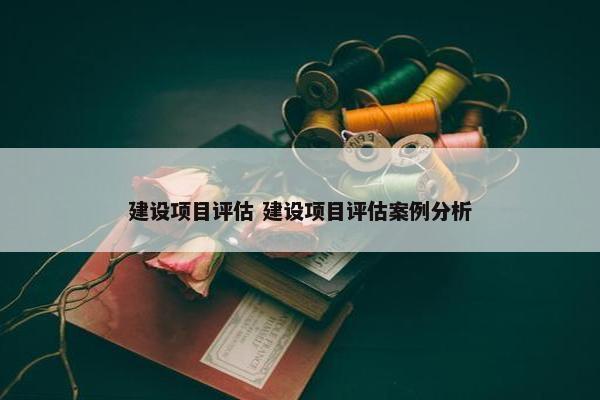 建设项目评估 建设项目评估案例分析