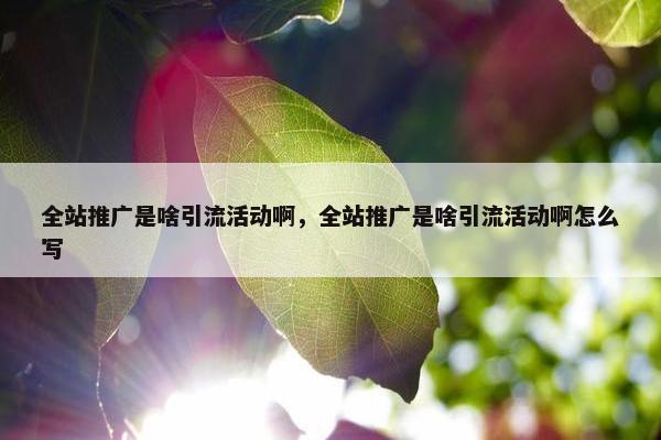 全站推广是啥引流活动啊，全站推广是啥引流活动啊怎么写