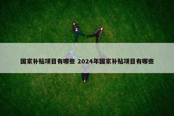 国家补贴项目有哪些 2024年国家补贴项目有哪些