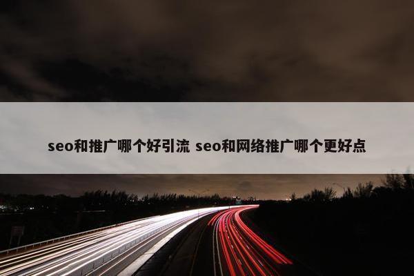 seo和推广哪个好引流 seo和网络推广哪个更好点