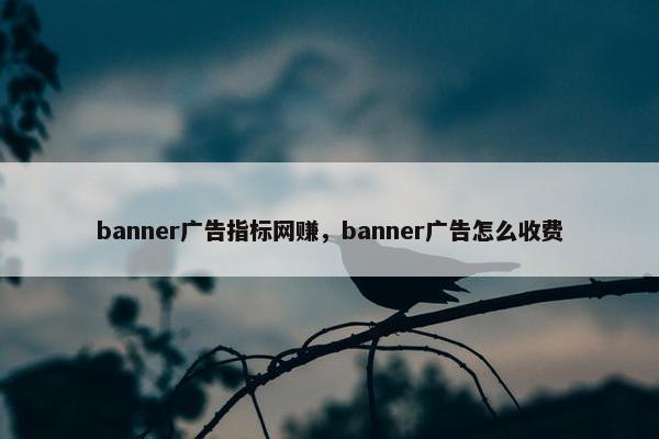 banner广告指标网赚，banner广告怎么收费