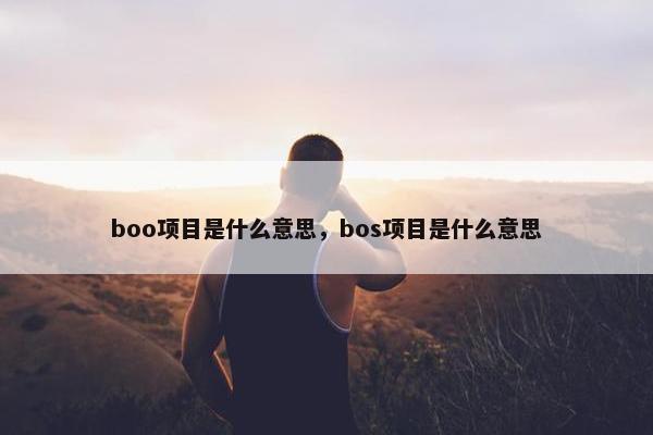 boo项目是什么意思，bos项目是什么意思