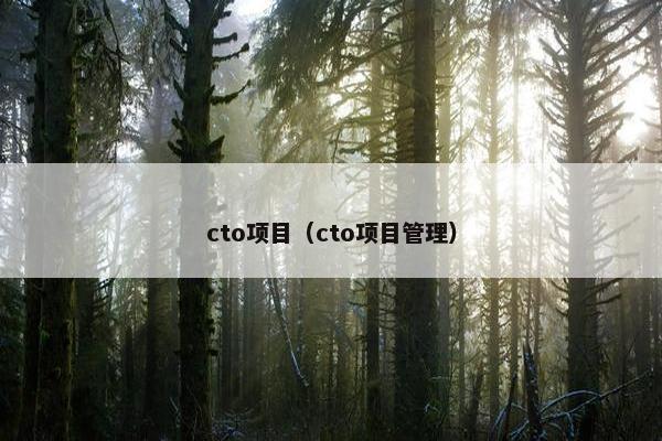 cto项目（cto项目管理）