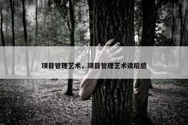 项目管理艺术，项目管理艺术读后感