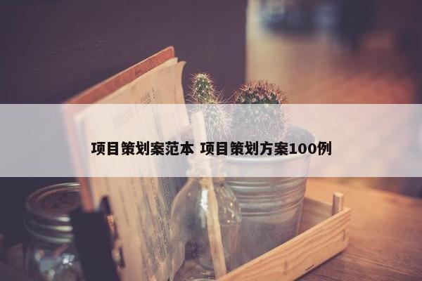 项目策划案范本 项目策划方案100例