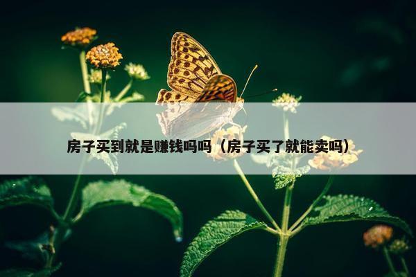 房子买到就是赚钱吗吗（房子买了就能卖吗）