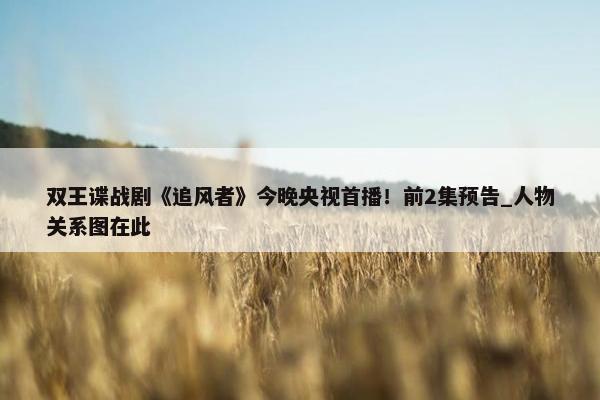 双王谍战剧《追风者》今晚央视首播！前2集预告_人物关系图在此