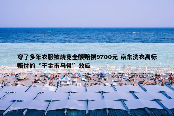 穿了多年衣服被烧竟全额赔偿9700元 京东洗衣高标赔付的“千金市马骨”效应