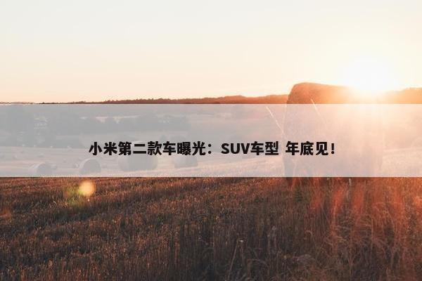 小米第二款车曝光：SUV车型 年底见！