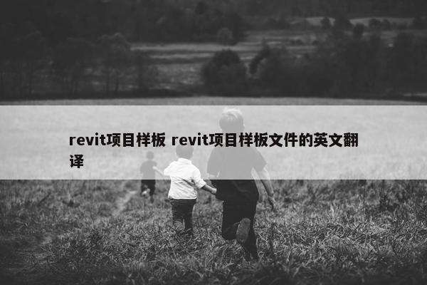 revit项目样板 revit项目样板文件的英文翻译