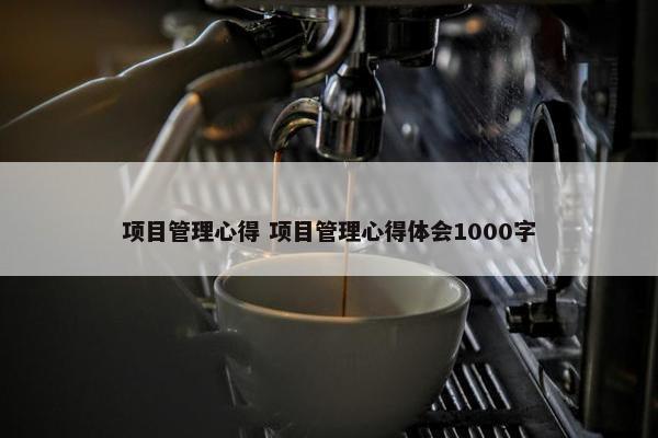 项目管理心得 项目管理心得体会1000字