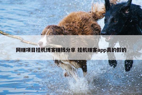 网赚项目挂机博客赚钱分享 挂机赚客app真的假的