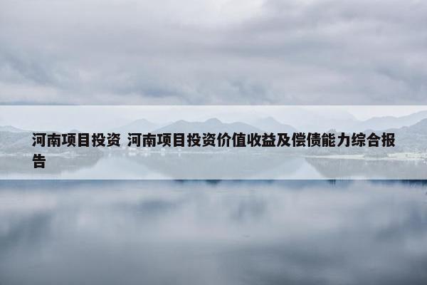 河南项目投资 河南项目投资价值收益及偿债能力综合报告